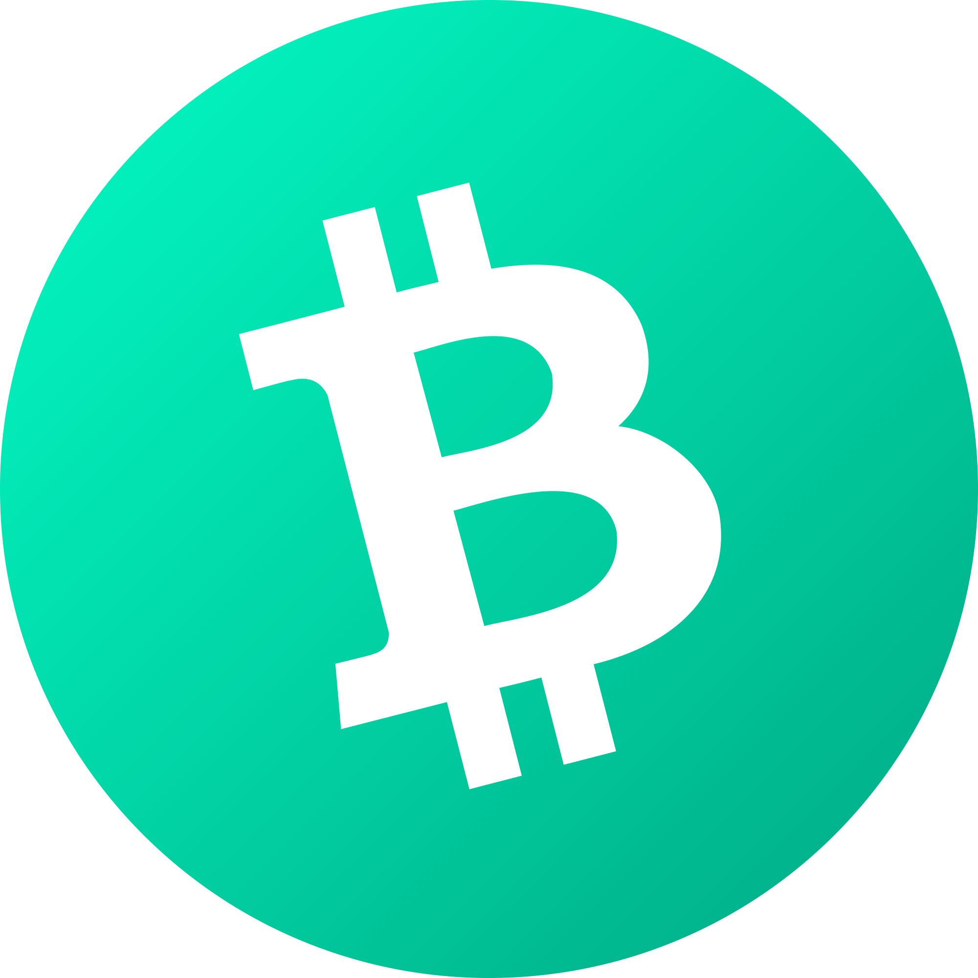 Bitcoin Cash logo