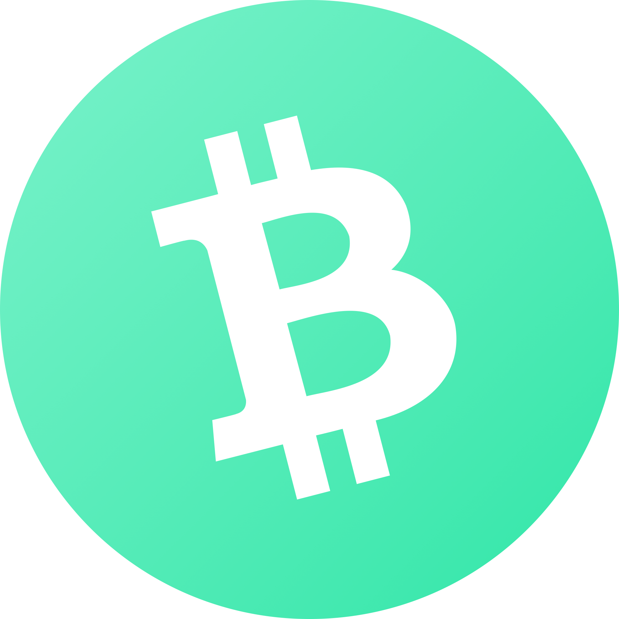 bitcoin-cash logo