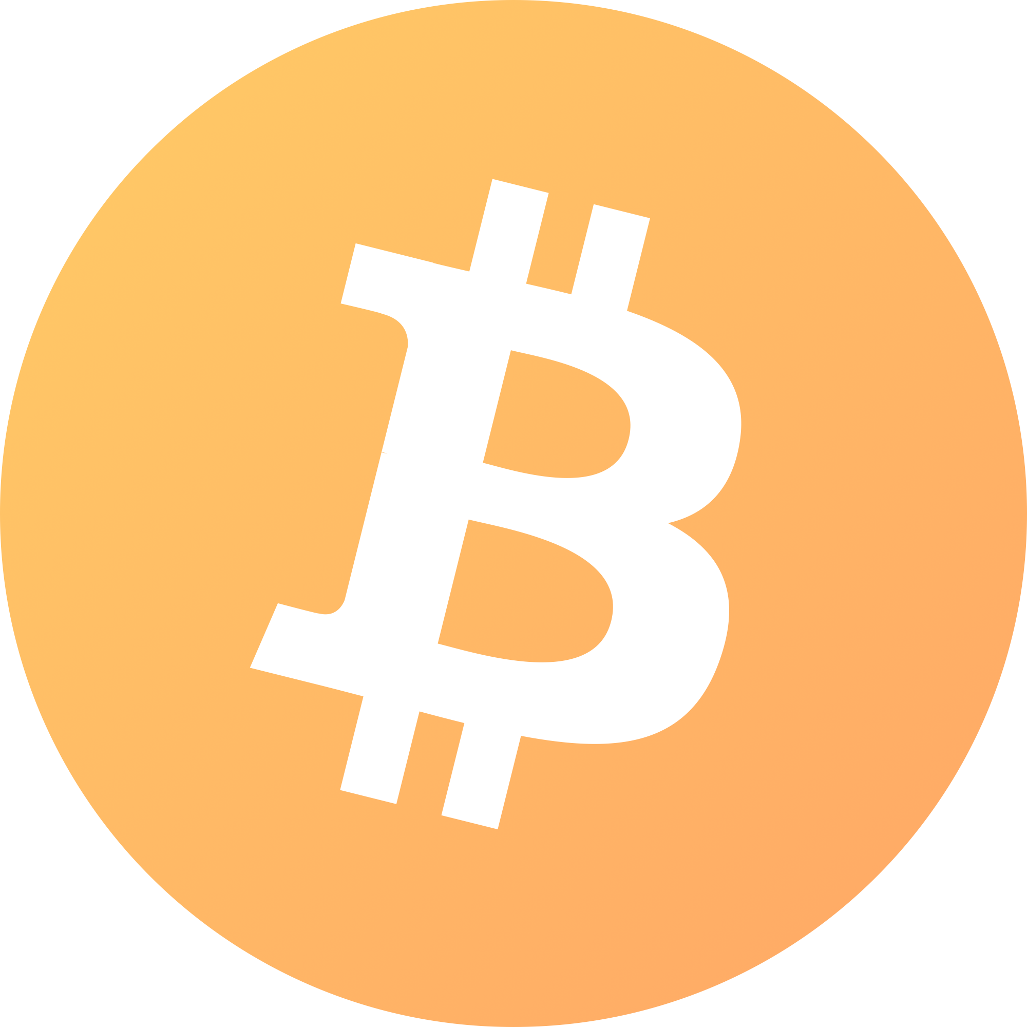Bitcoin logo